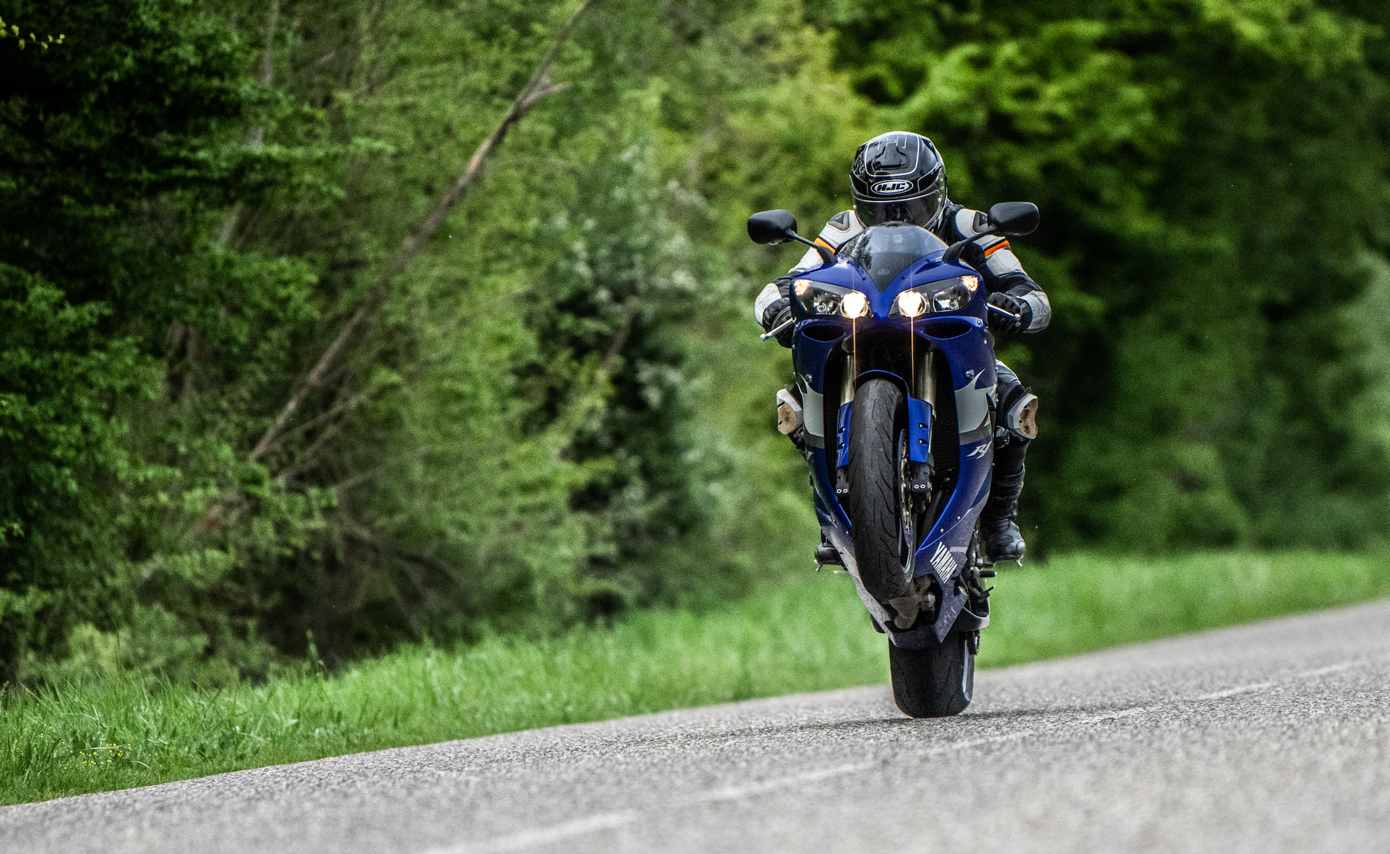 Motorradfahrer auf einer Waldstraße in Farbe